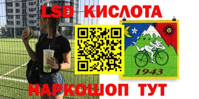 мяу мяу мука Краснознаменск