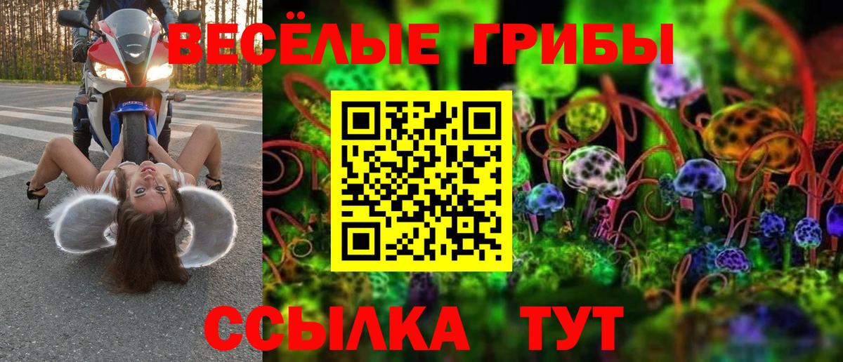 Псилоцибиновые грибы GOLDEN TEACHER Камышлов