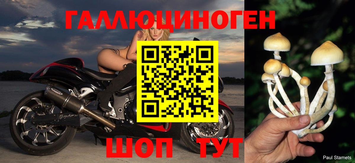  Cocaine Камышлов