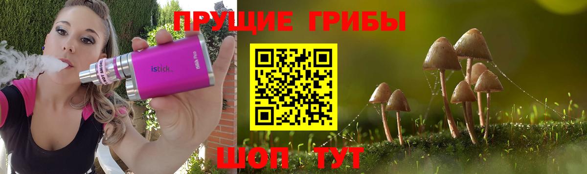 Псилоцибиновые грибы Psilocybine cubensis  Вход с VPN  Псилоцибиновые грибы GOLDEN TEACHER  Камышлов 